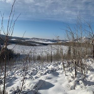 Meet your Posher, Gunnar